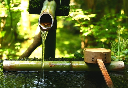 五月你好发朋友圈的句子(精选45句) 五月你好发朋友圈的句子(精选45句)