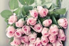 朋友圈互动搞笑的说说短句(精选50句)