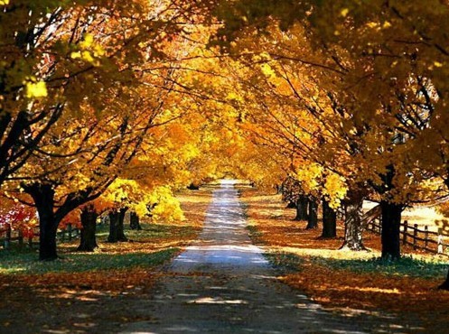 抖音上的说说经典语录(66句)