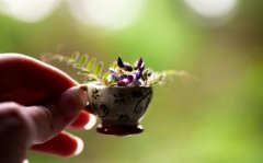 跟对象表白的说说句子(65句)