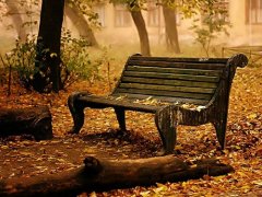 温柔到骨子里的古风句子(精选65句)