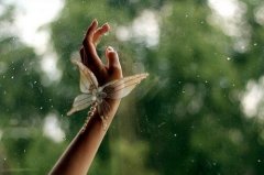 鼓励人的话加油的短句(精选80句)