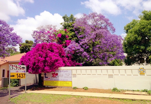 表达一家人相亲相爱的句子(精选32句)