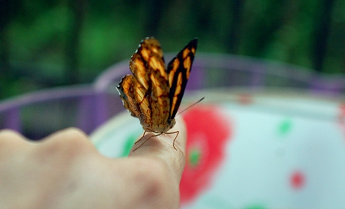 从一无所有到负债累累的说说(30句)