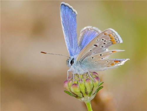 敢于为爱妥协的爱情说说(精选26句) 敢于为爱妥协的爱情说说(精选26句)