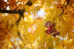 相识一年的说说(精选21句)