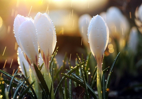 秋分节气的祝福语