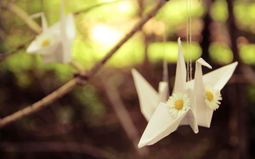 参加无偿献血的感想说说