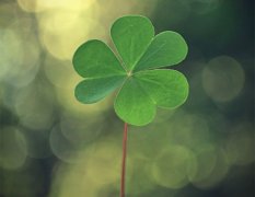 自己是备胎的伤感说说短句