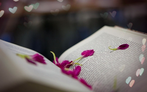 温柔宝藏短句温柔很仙的宝藏句子 温柔宝藏短句温柔很仙的宝藏句子