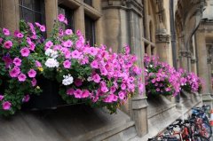 朋友圈骚气句子短句