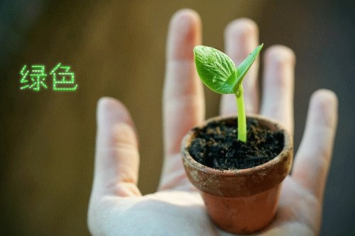 很平凡的好听的爱情句子短句