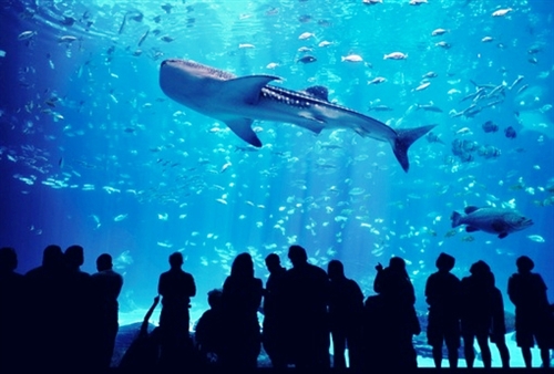 觉得自己的生活难过的句子说说 觉得自己的生活难过的句子说说