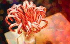 关于友谊的暖心短句