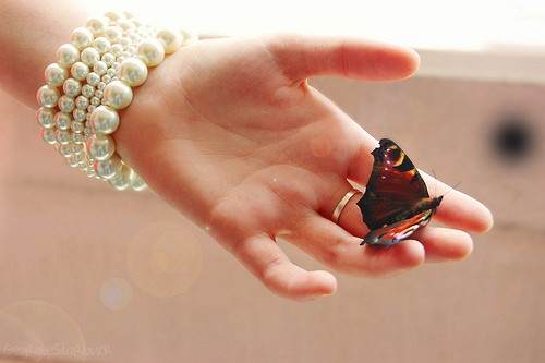 发朋友圈四字的短句(精选65句)