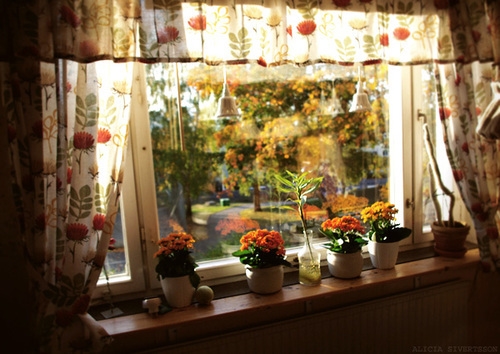 烟酒说说伤感说说短句子(精选67句)