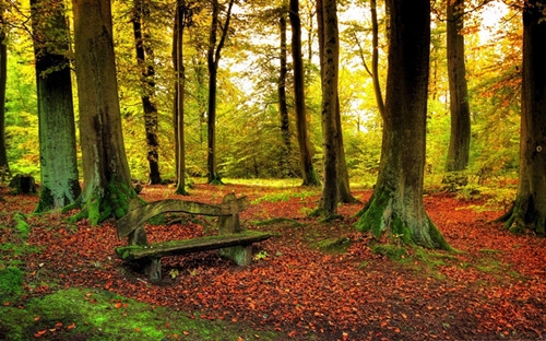 成熟努力的说说(73句)