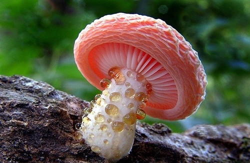 出门逛街花钱很心疼的句子说说(精选21句)