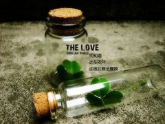 拍经典全家福说说句子(优选26句)