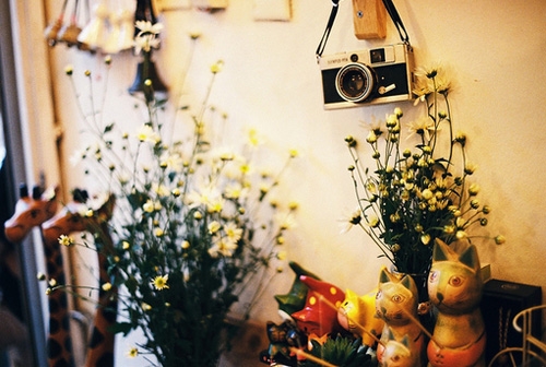 关于泼水节朋友圈说说(热门23句) 关于泼水节朋友圈说说(热门23句)