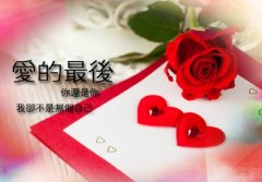 生活温柔又闪亮的句子(优选26句)