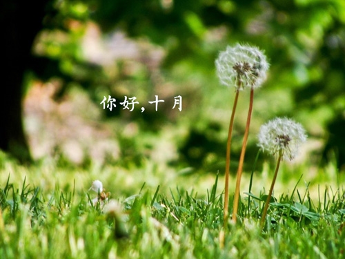 火遍全网的是吧谐音梗说说(25句) 火遍全网的是吧谐音梗说说(25句)