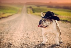 努力得到认可的心情说说(推荐26句)