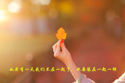 生活简单而又美好的语录(21句)