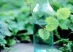 转眼间心碎的句子(共23句)