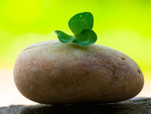 晒自己生日蛋糕的说说(必备25句)