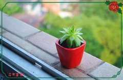 适合光棍节发朋友圈的表白说说(必备22句)