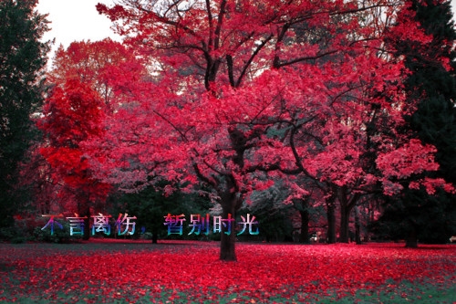感觉自己不快乐的空间说说(通用26句)