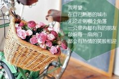 遗憾意难平的句子(实用26句)