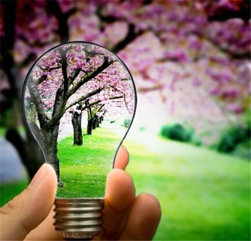 去大草原的感受的句子(热门25句) 去大草原的感受的句子(热门25句)