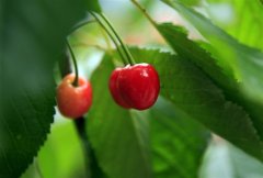 自己被背叛了超级难过的说说(推荐24句)