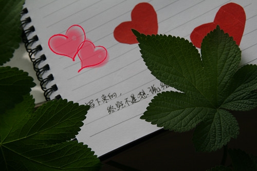 保持沉默的语录说说(通用23句)