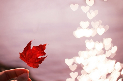 元旦新年语句(精选23句)