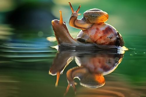 时光飞逝珍惜当下的唯美句子短句(共22句)