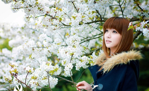 2023全新温柔的精致语录(实用25句)