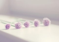 感谢别人帮助的句子经典语录(26句)