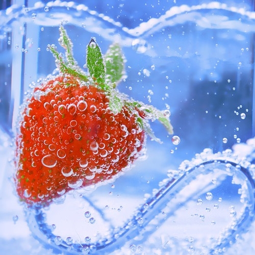 表示对宠物的喜爱的句子(汇总20句)