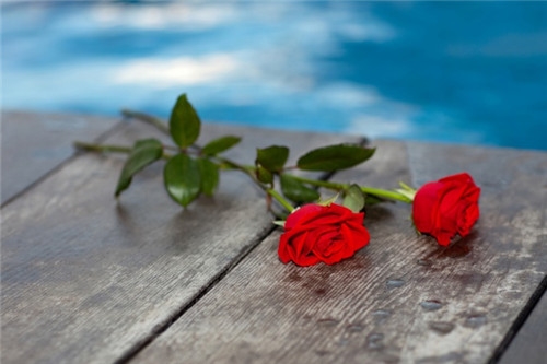 跨年夜晒跟对象合照的说说句子(必备25句)