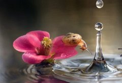 奶茶店吸引人的名字(共265个)