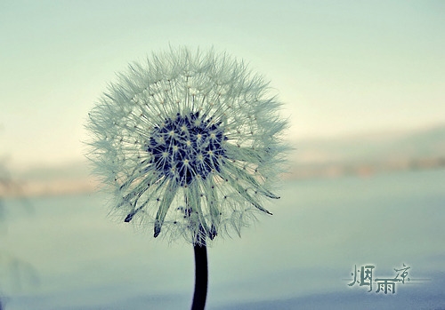 微信网名2023独一无二(优选306个)