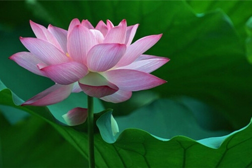 微信发朋友圈发的情感句子(热门67句)