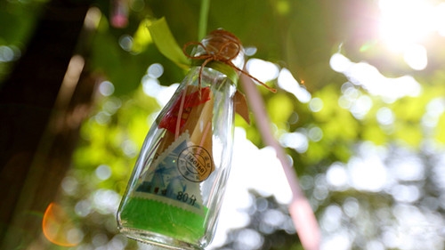 文艺发朋友圈的精美句子(必备66句)