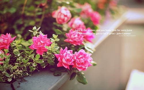 特别喜欢女朋友的说说句子(共73句)