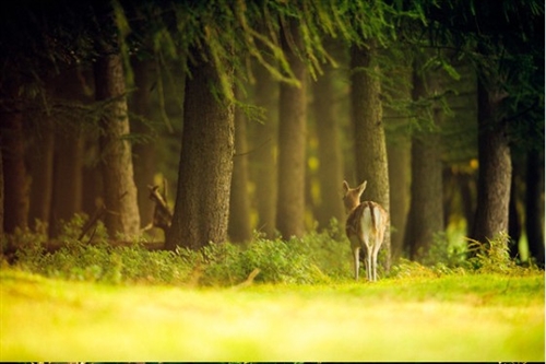 忧伤的句子说说心情(通用76句) 忧伤的句子说说心情(通用76句)