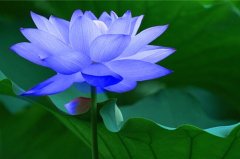 形容心情不好的朋友圈说说短句(推荐67句)