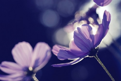 愚人节整人的朋友圈说说(33句)